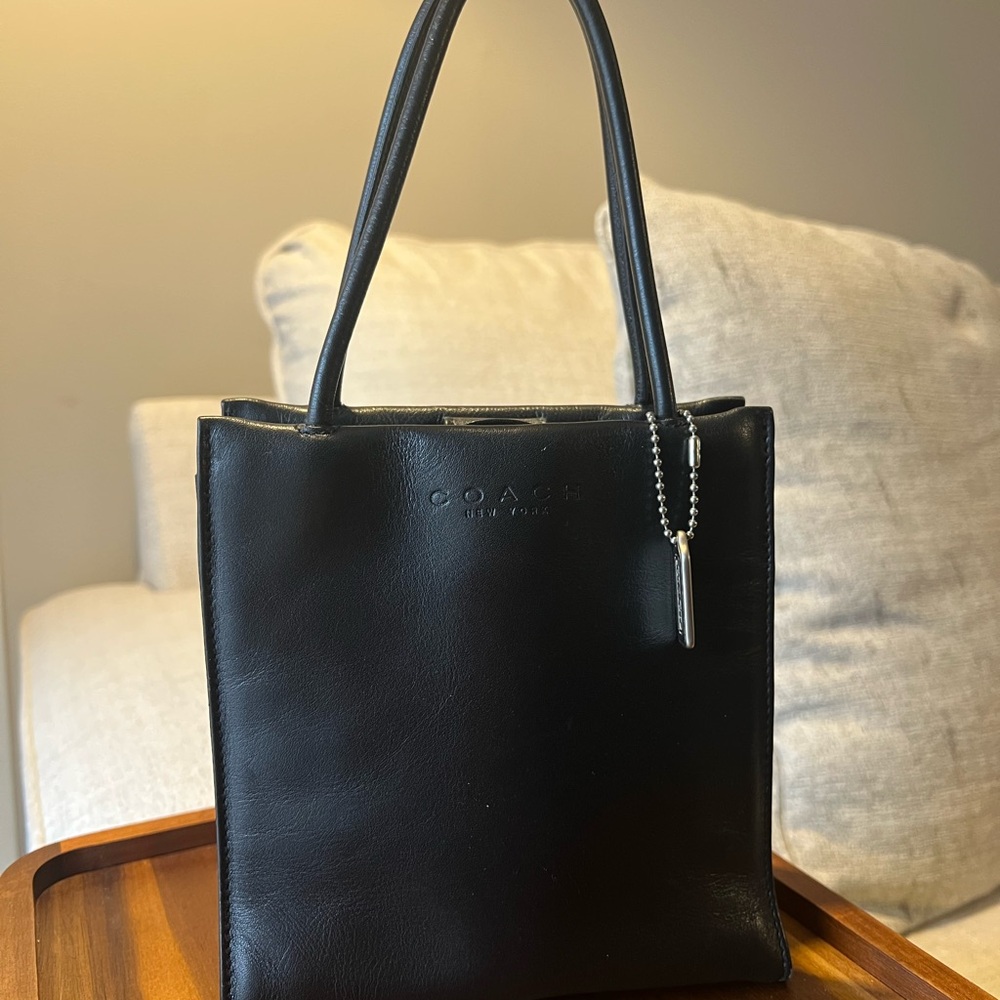 Vintage Coach Pearlized Leather Tote Bag